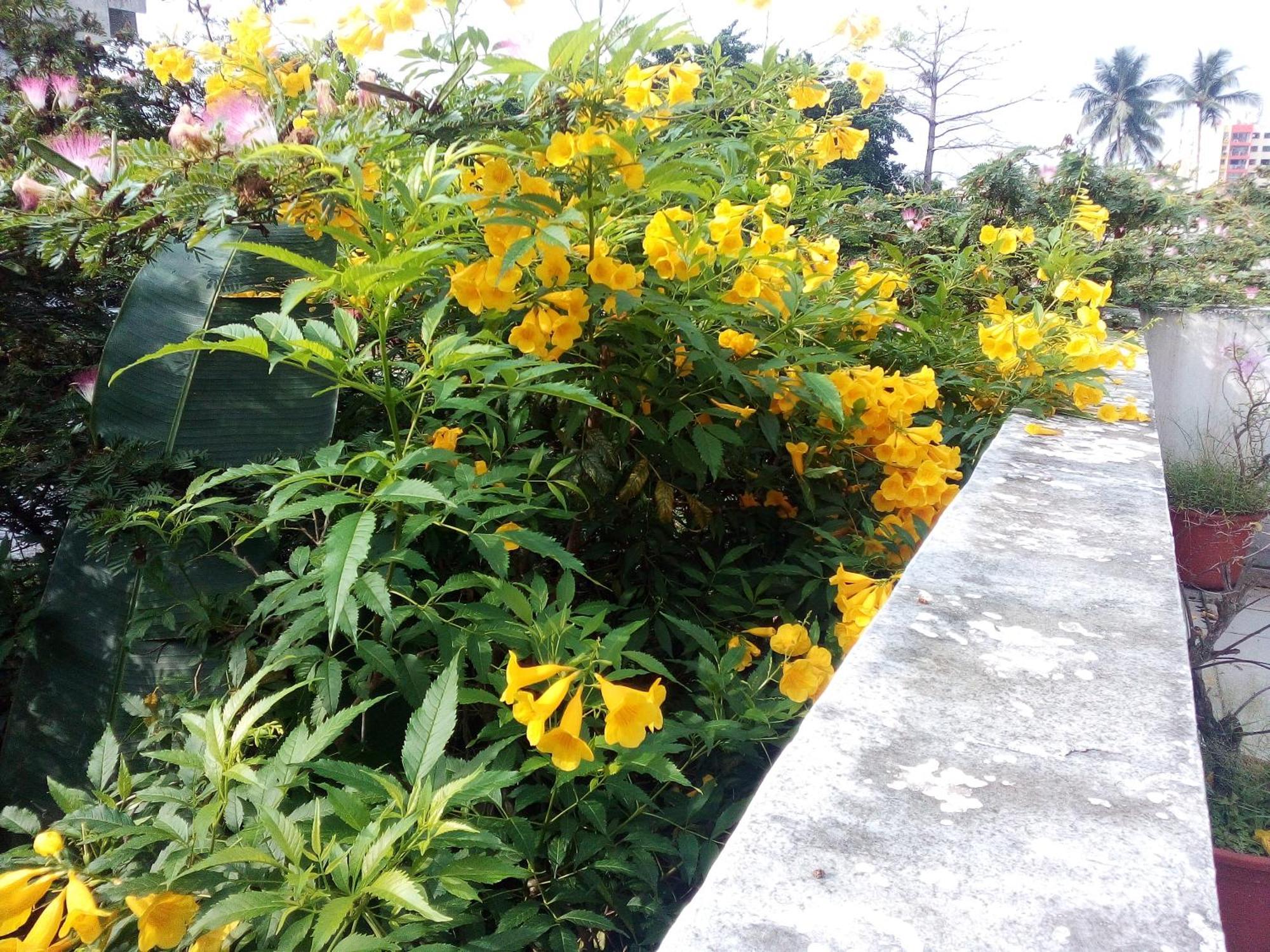 Villa Mango Abidjan Kültér fotó